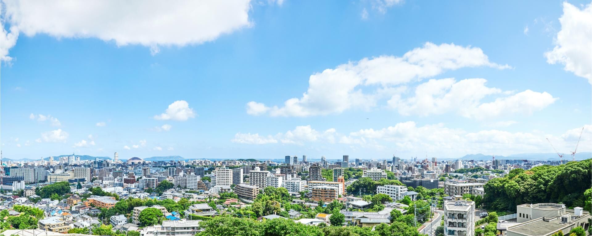 AdobeStock_209411440